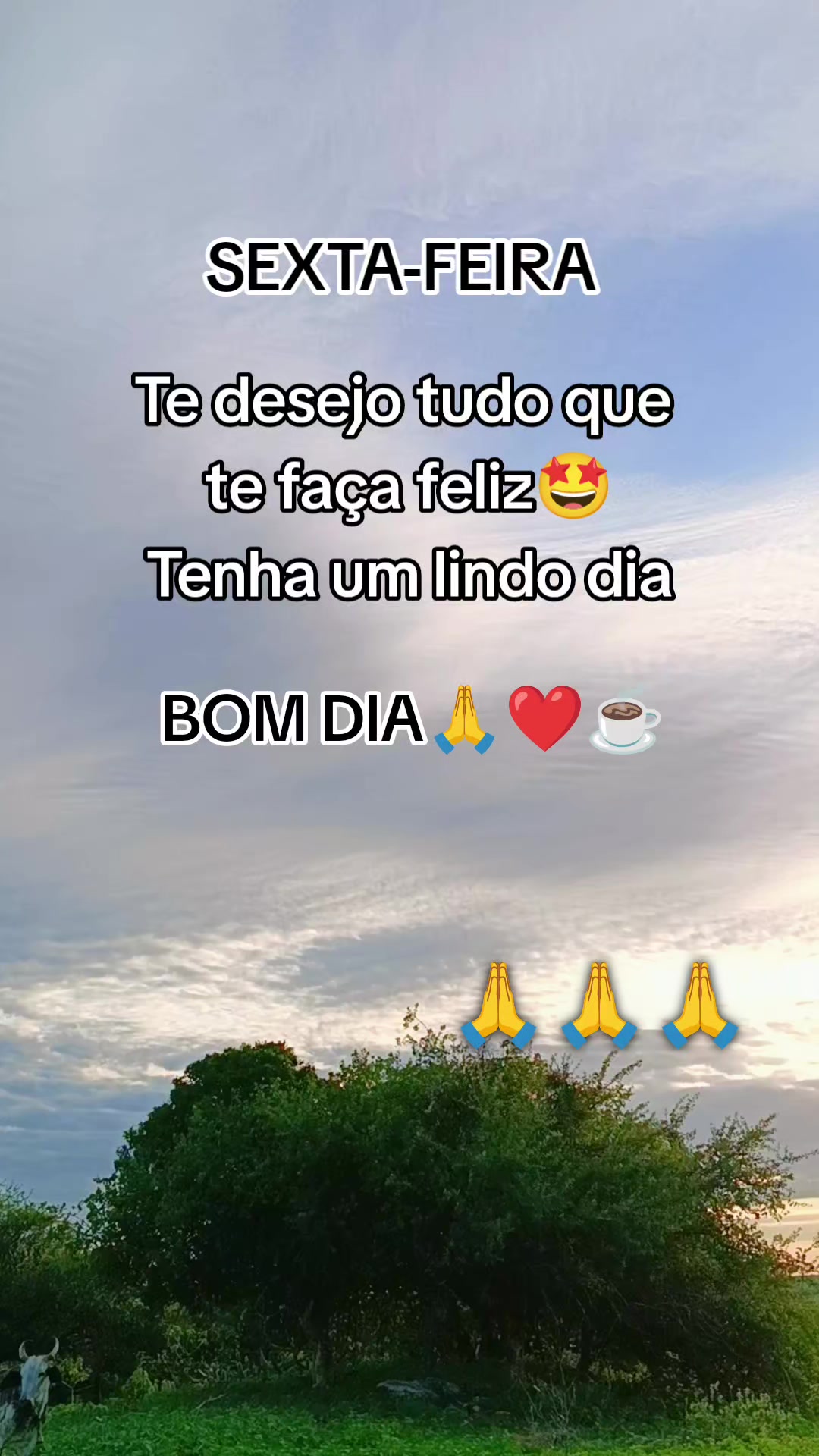 @ronaldosantos