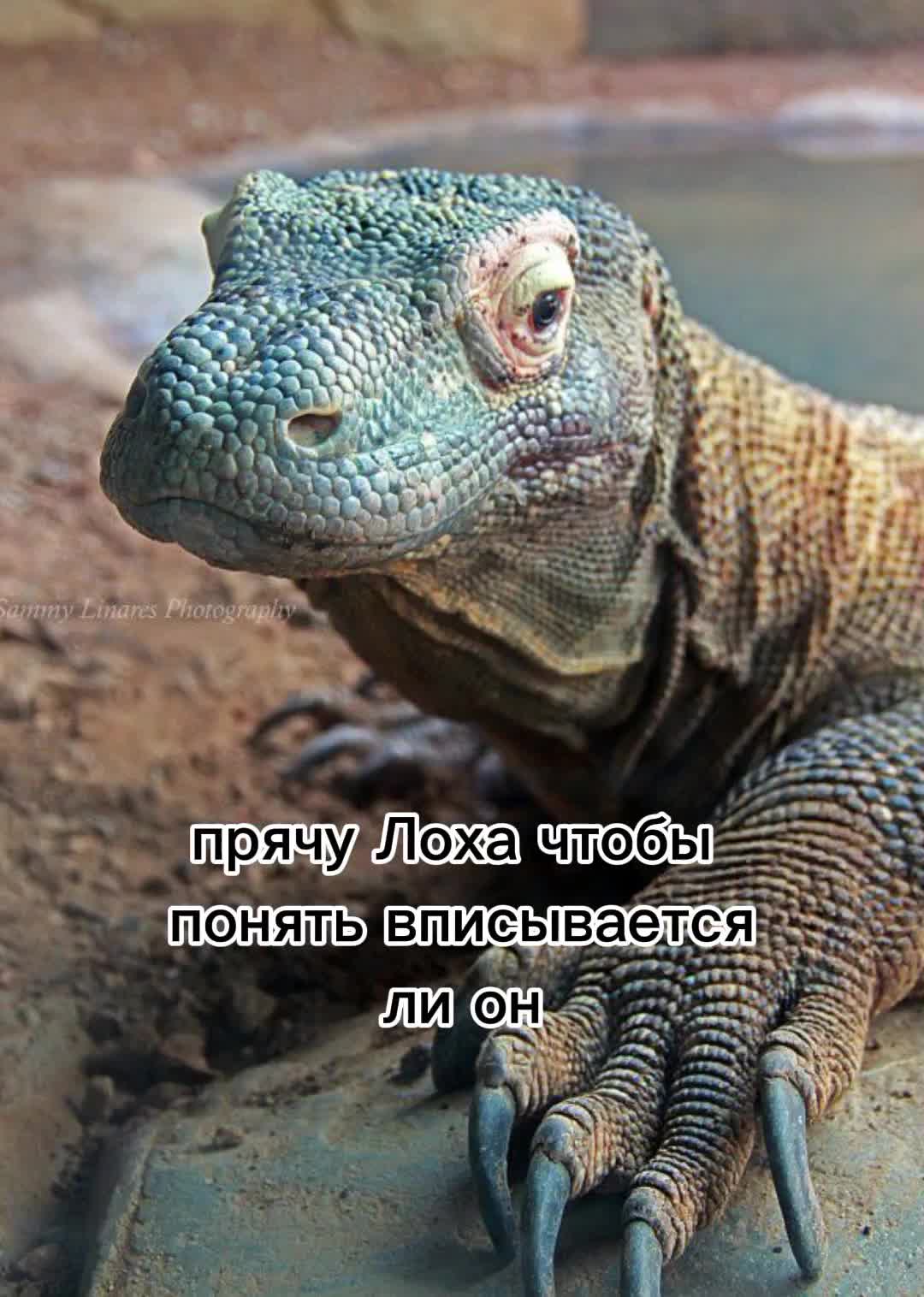 @7\ 𝐙𝐞𝐫𝐚𝐞𝐥 @