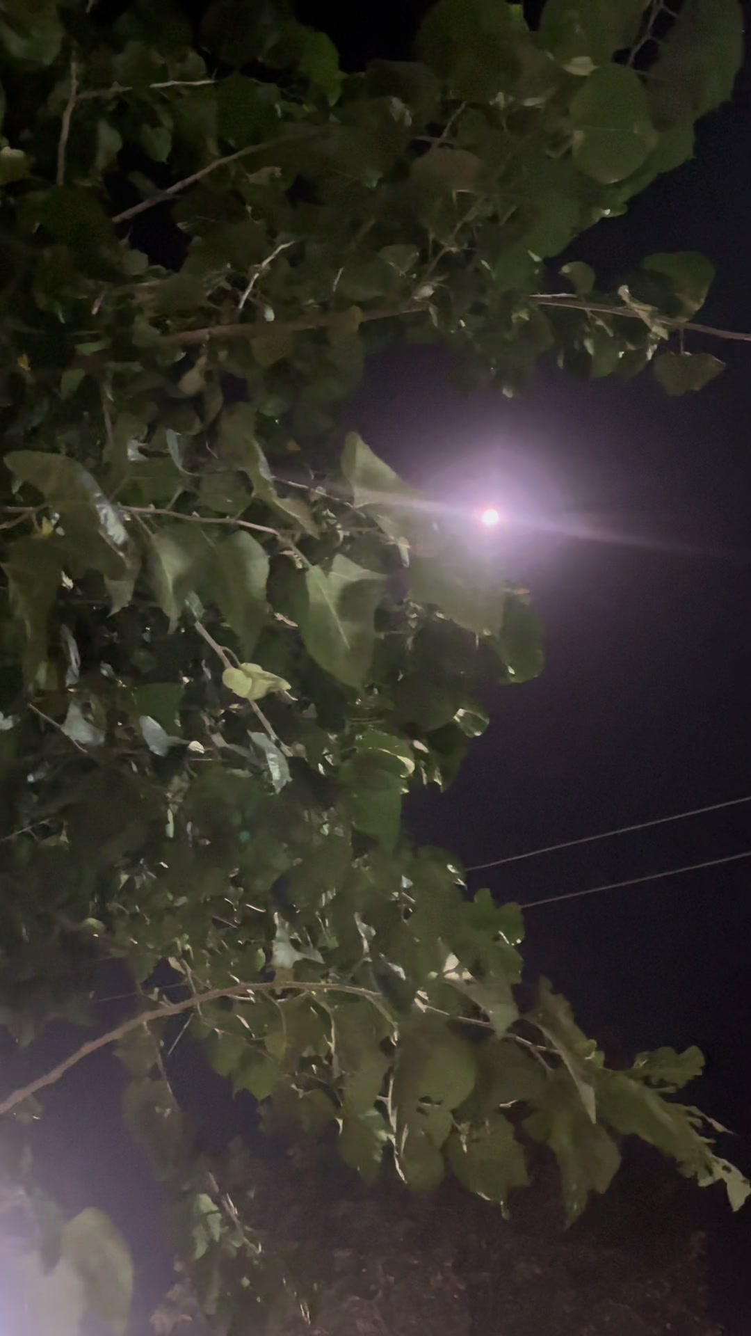 @🌙