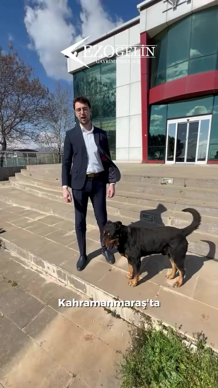 @ezogelingayrimenkul