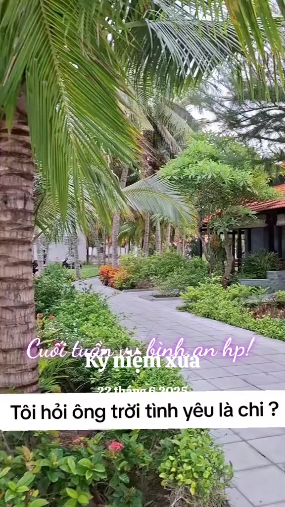 @nguyễn dung