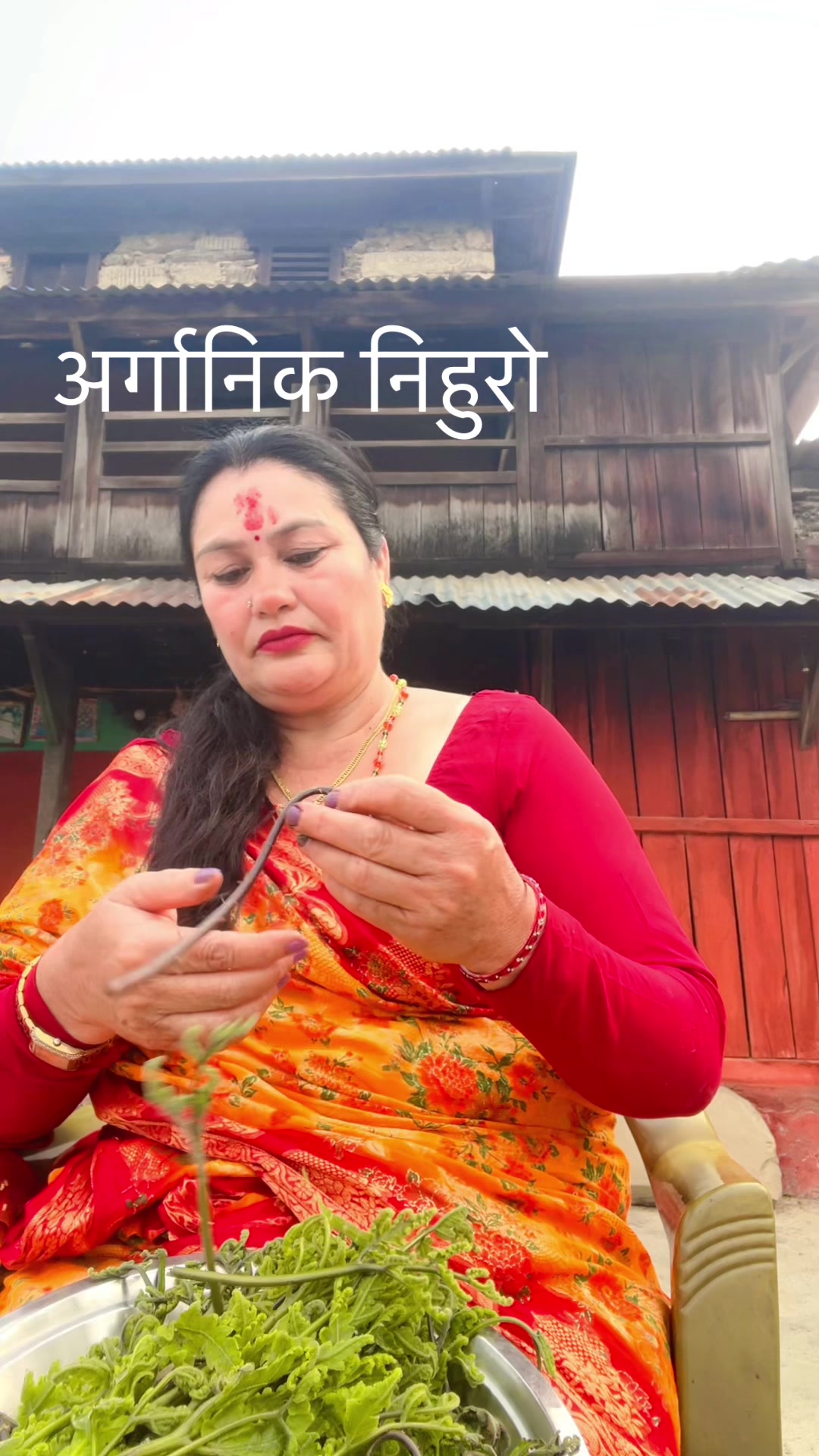 @Kamala Khadka