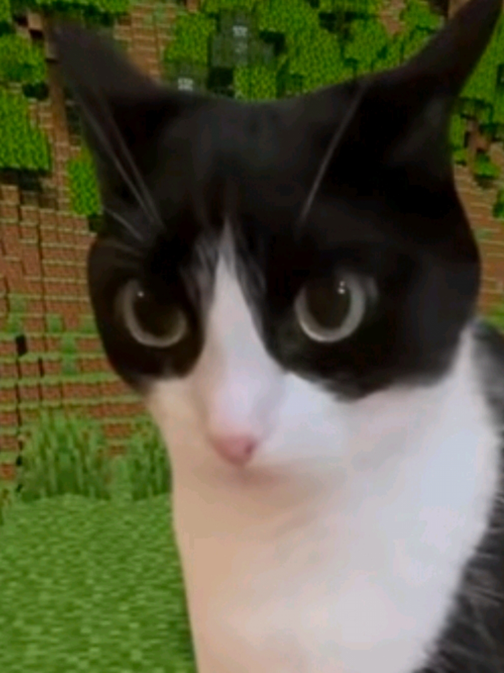 @️