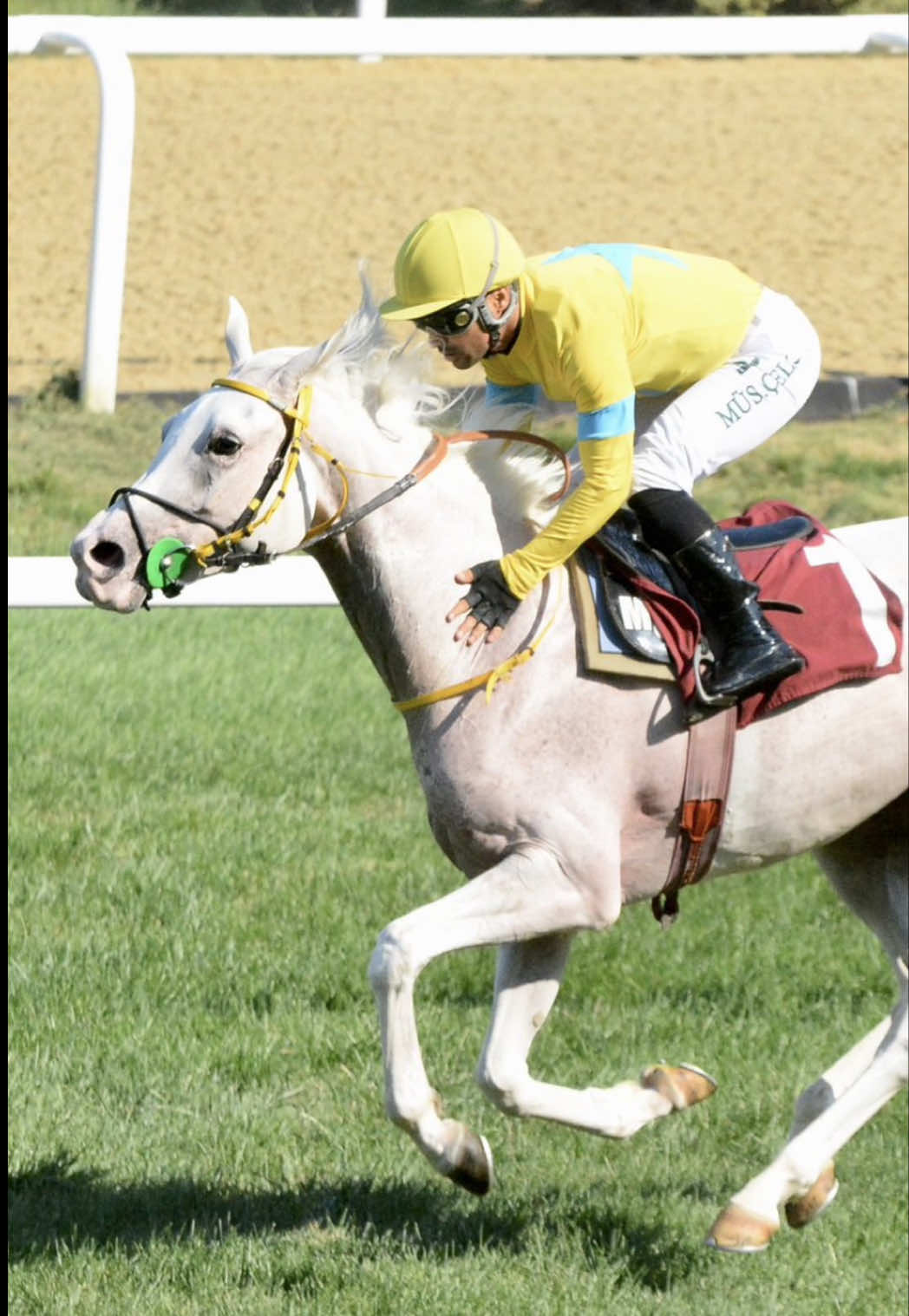 @👑 PİSTİN ŞAMPİYONLARI 👑