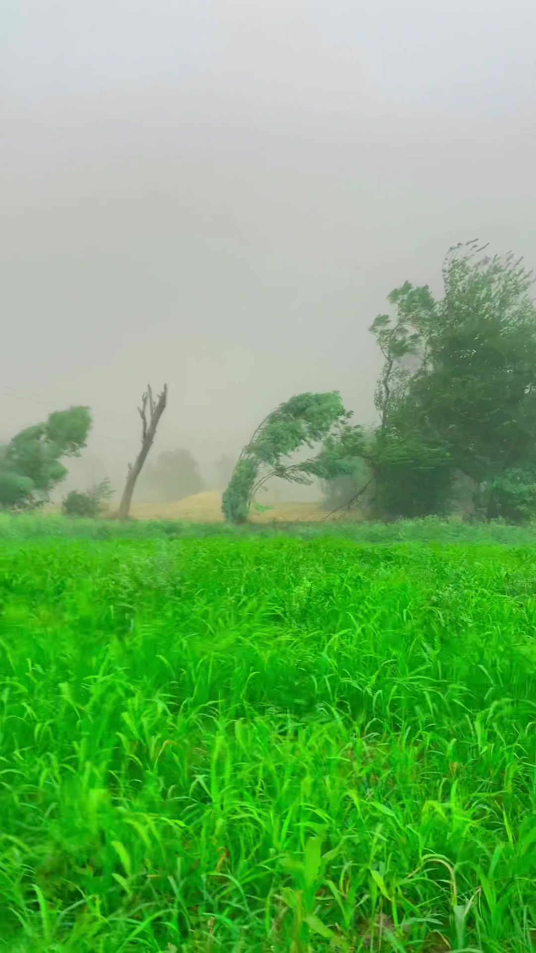 @⎯⎯❥ عبداللہ ماسید🔥(وزیرستانی)