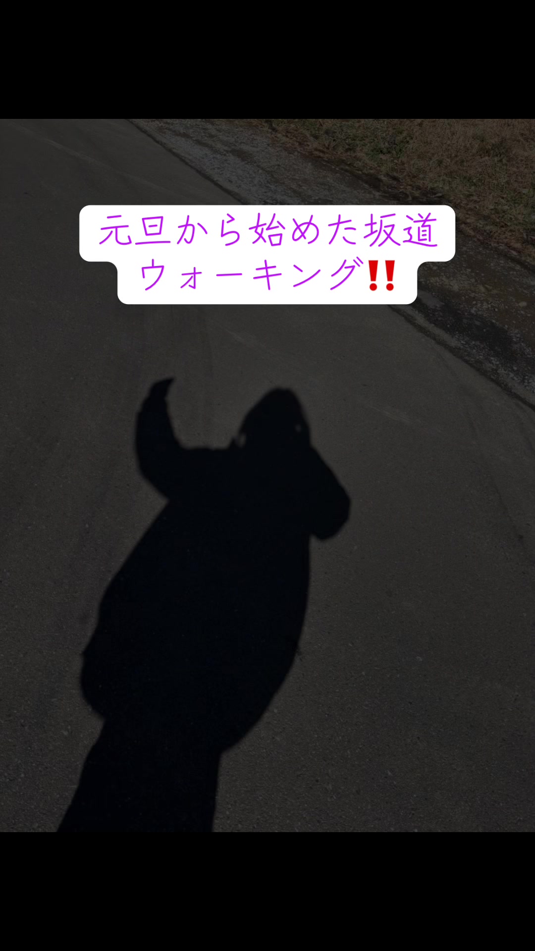 @ロコ