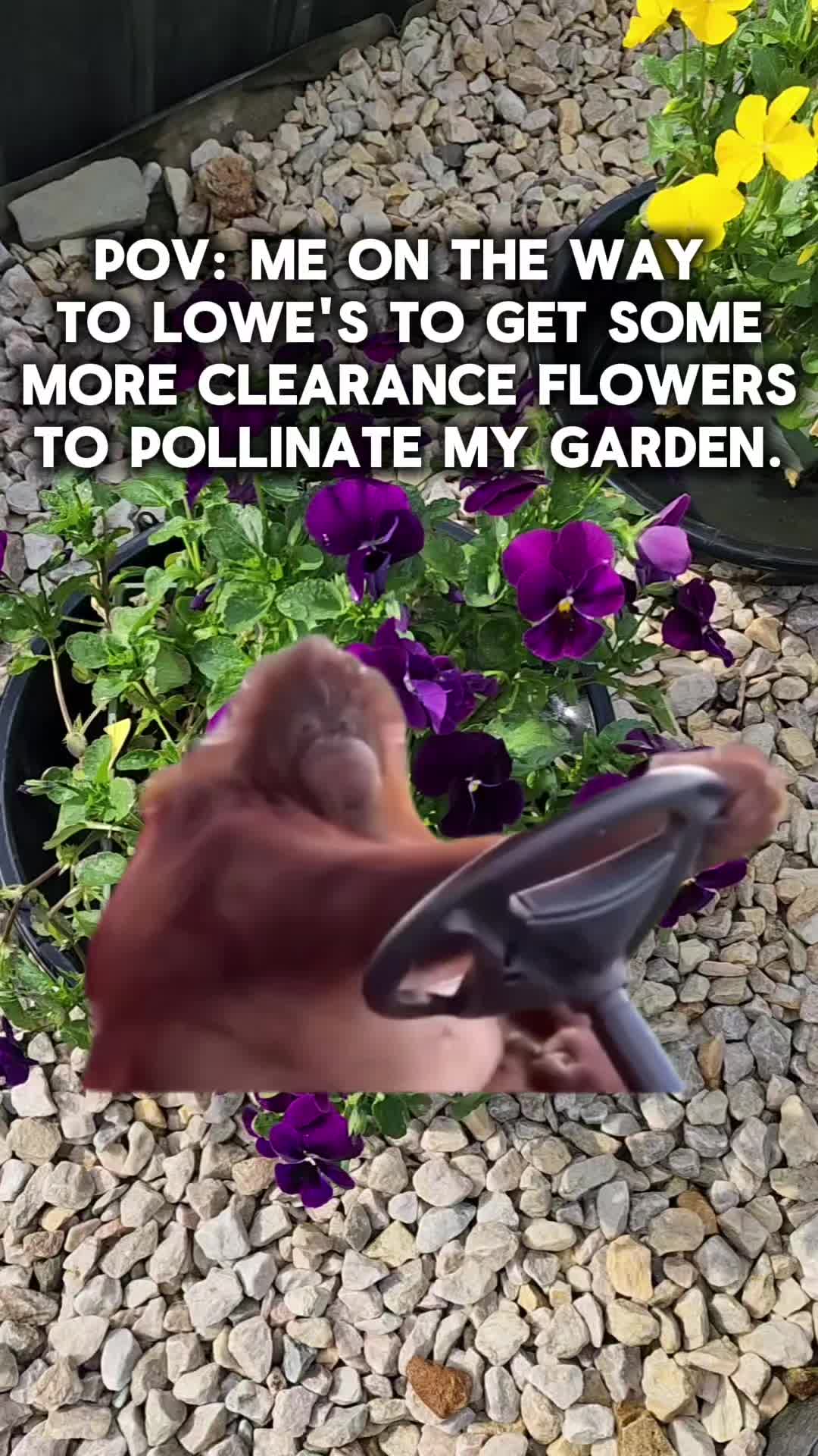 @Lana -🐕&zwj;🦺Dog Mom & Gardener