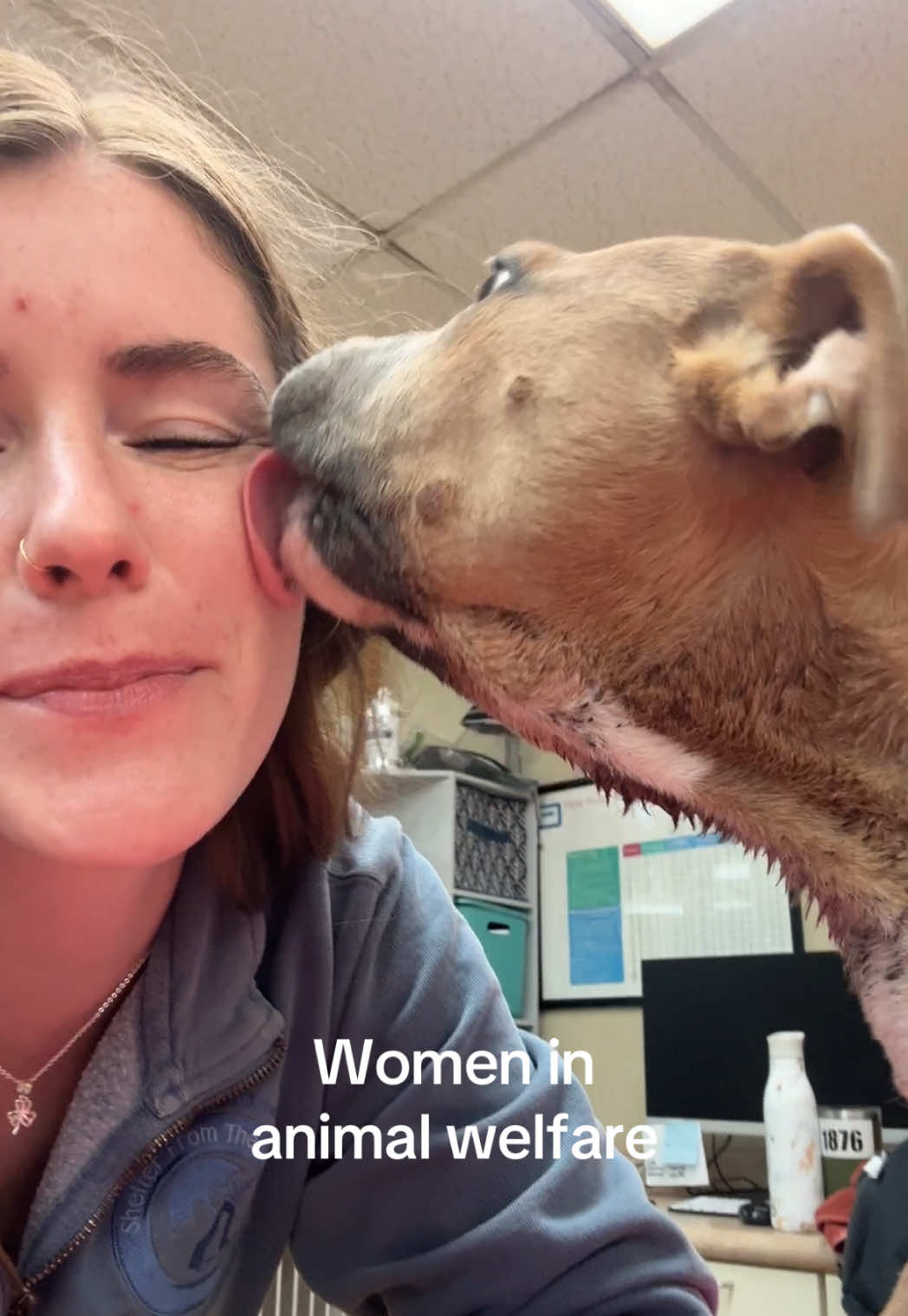 @sftsanimalrescue