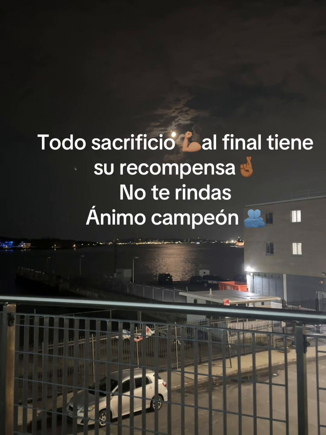 @Flores