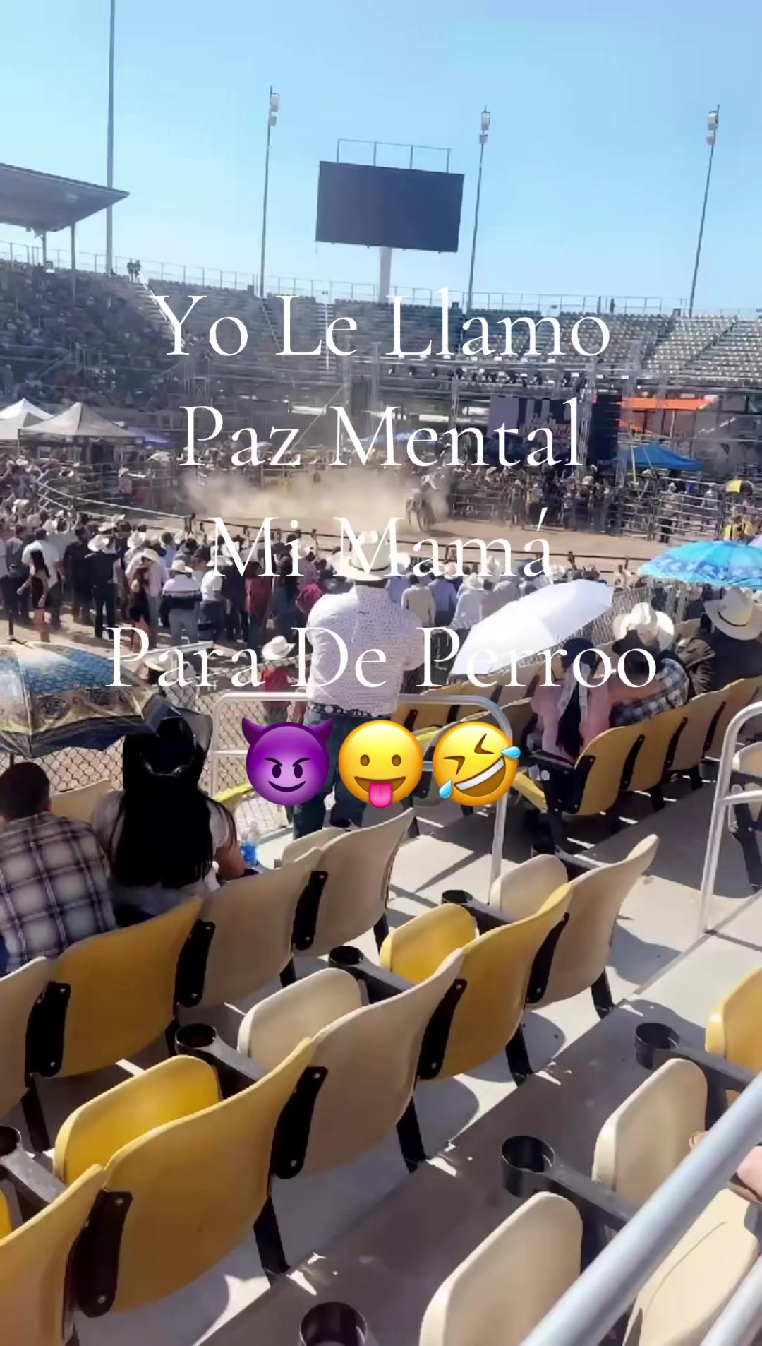 @GmzYeni