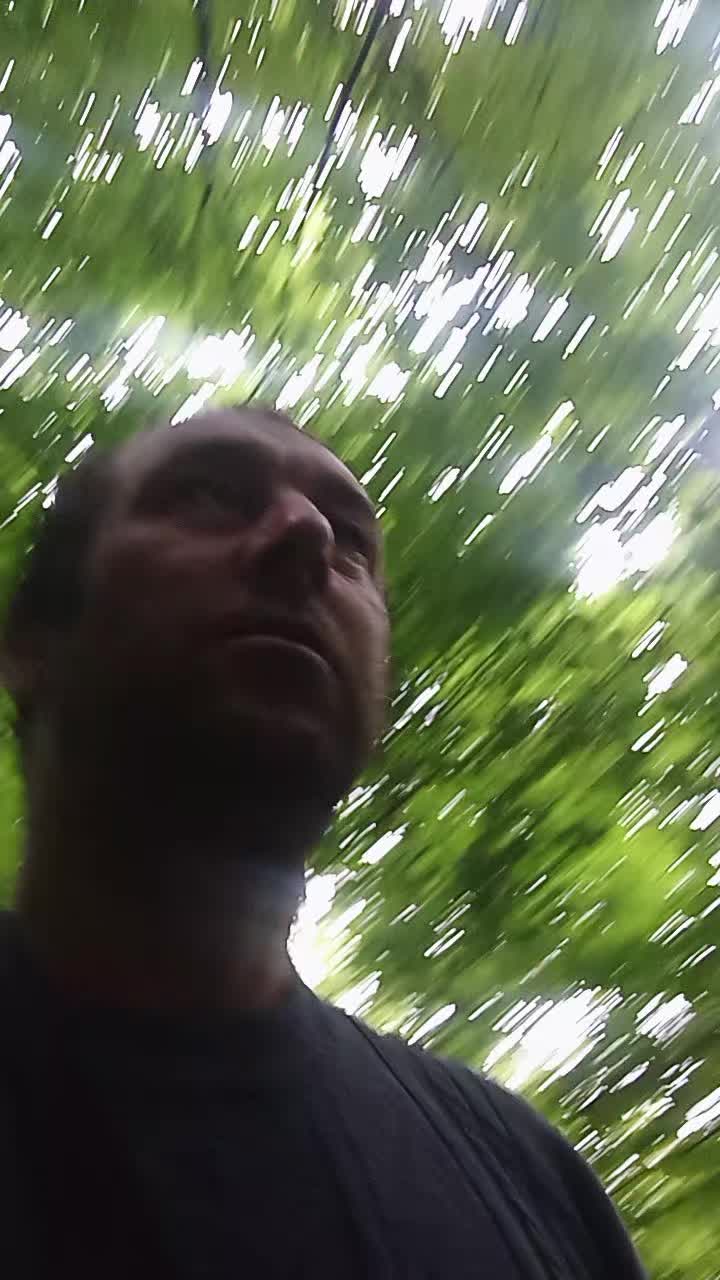 @Alexei Gurali