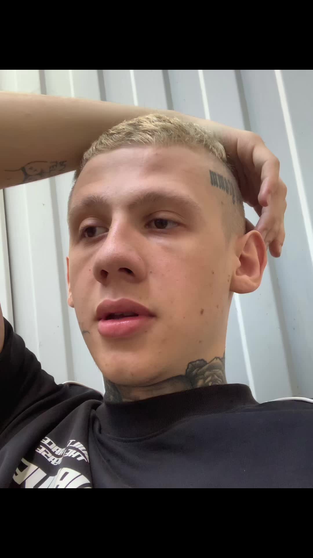 @dovodishdoslez