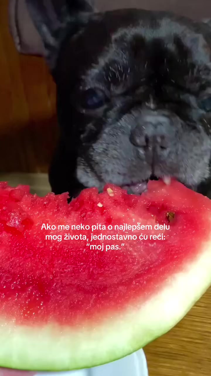 @Tango_2410