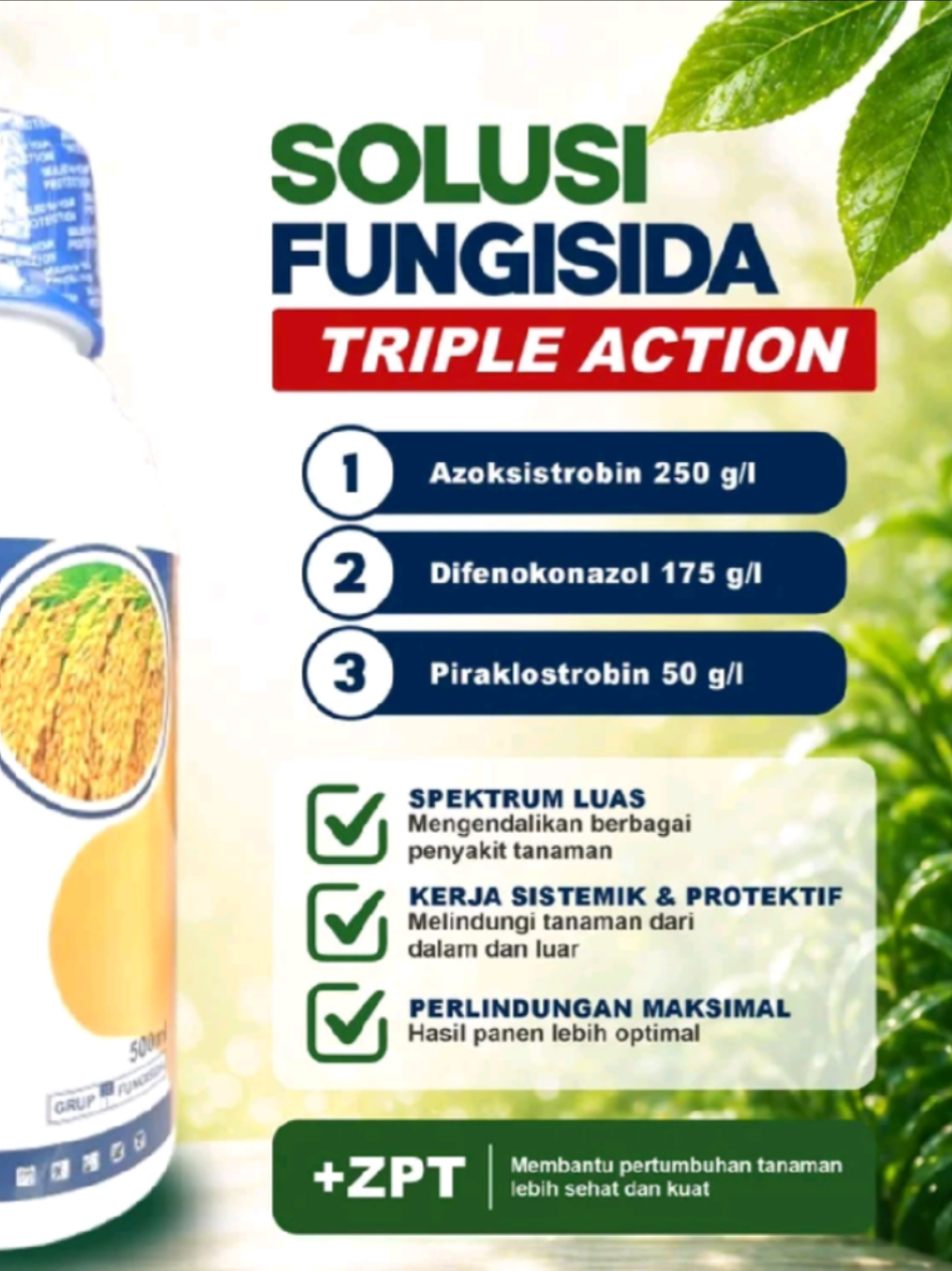 @Berkebun Berkah