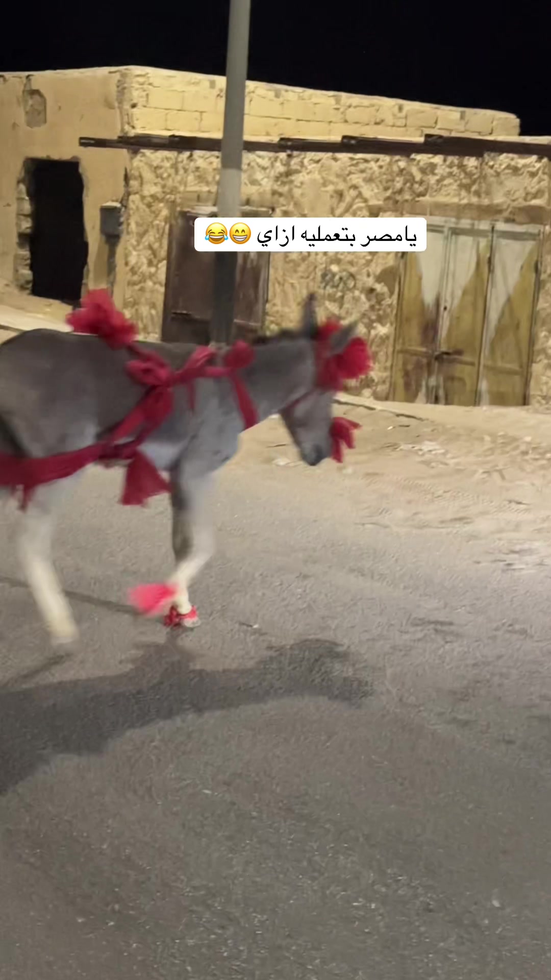 @ابـراهـيـم احـيـوي🦅