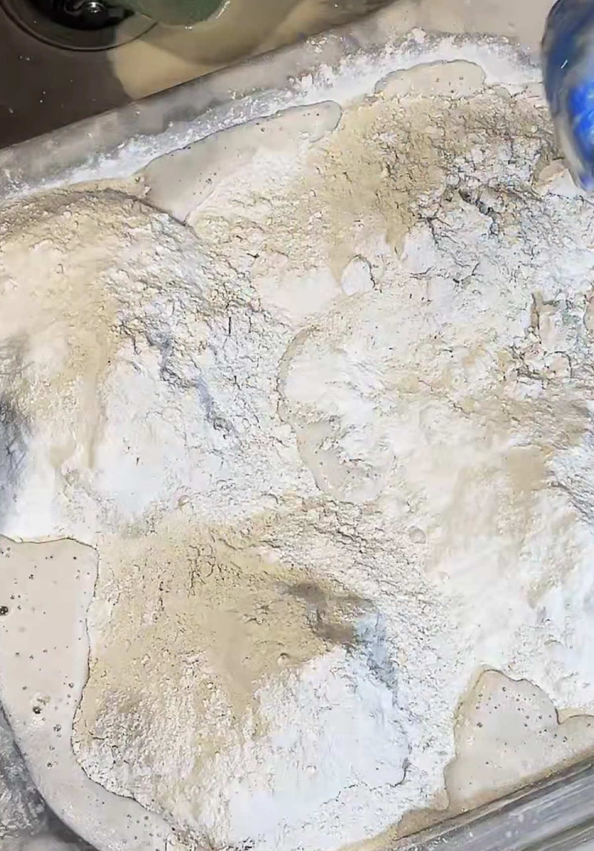 @kynidomii ❤️🫧🧽
