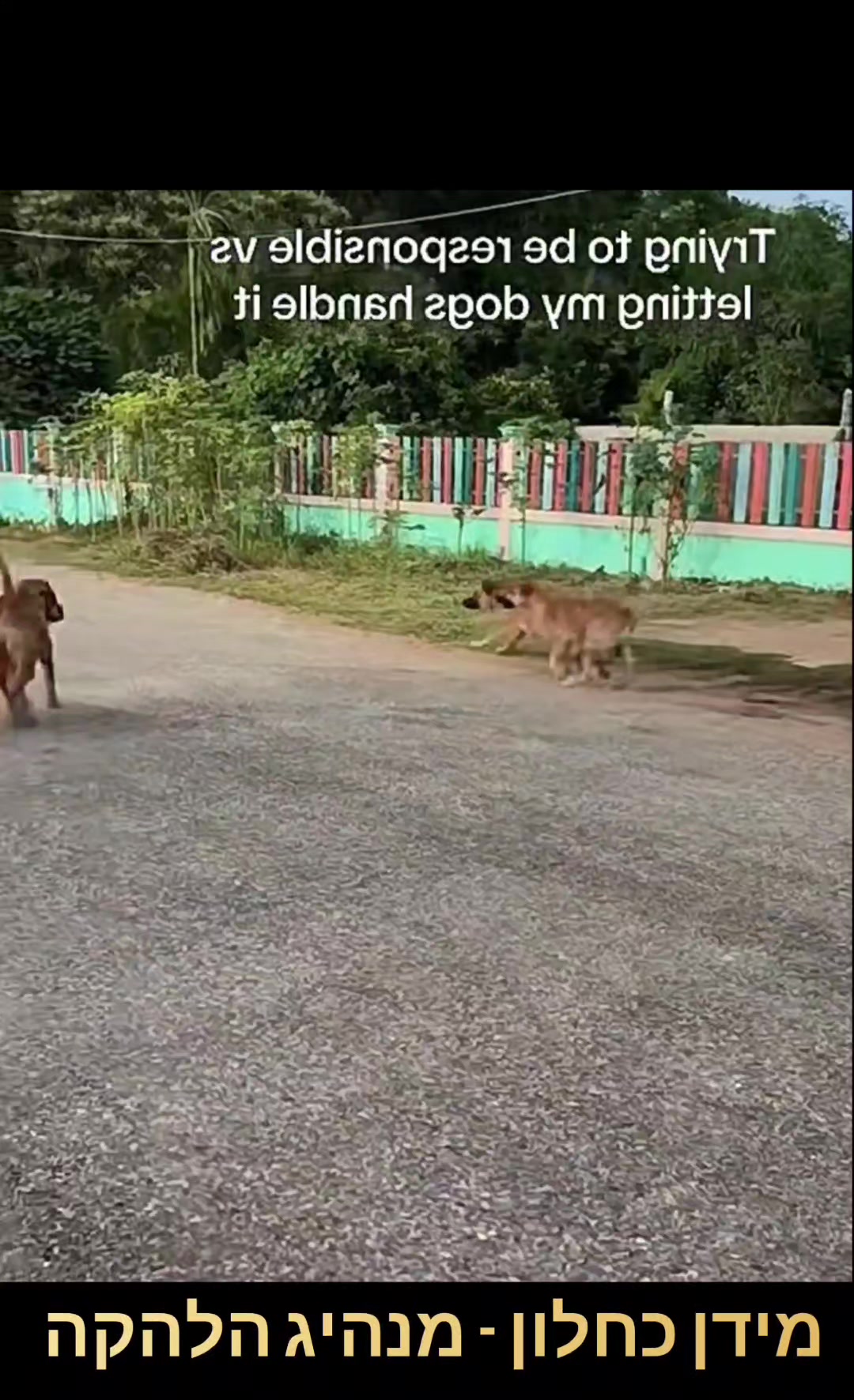 @מידן כחלון מנהיג הלהקה