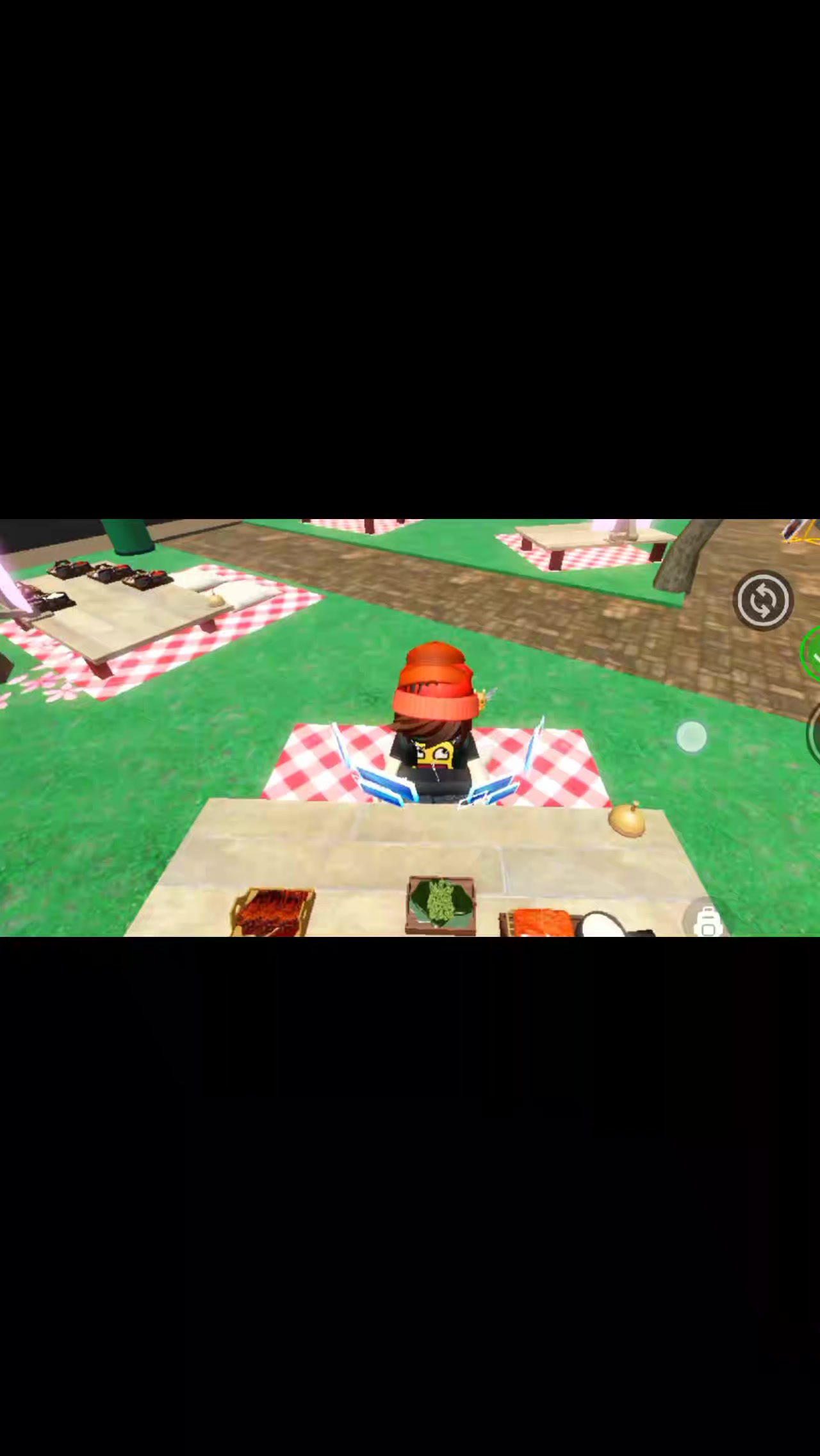 @anit_roblox