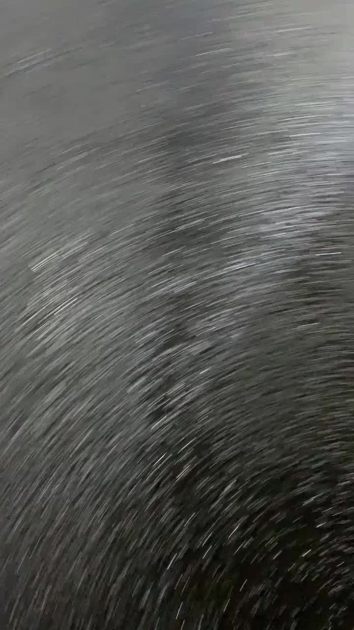 @plnttlio🍻🚀