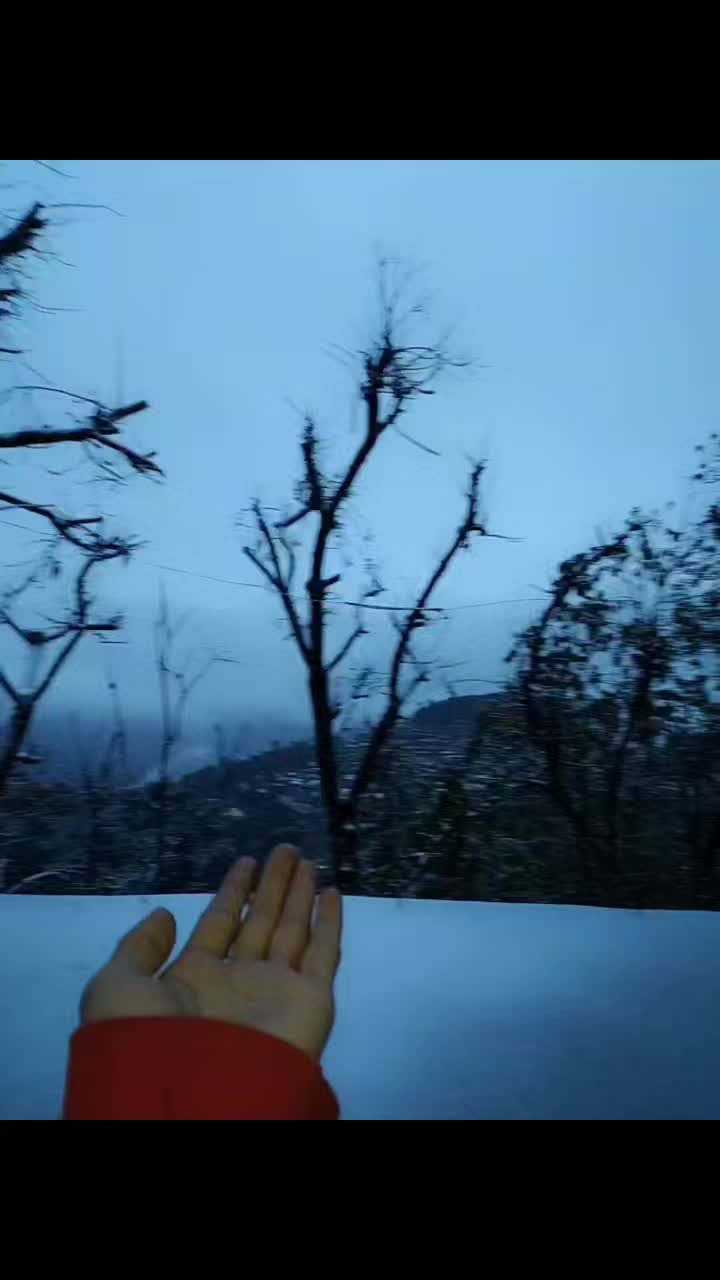 @Samiaعبّاسی