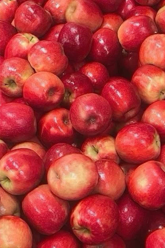 @ᥲ⍴⍴ᥣᥱ ˚.🍎 ᵎᵎ  🪲ˎˊ˗