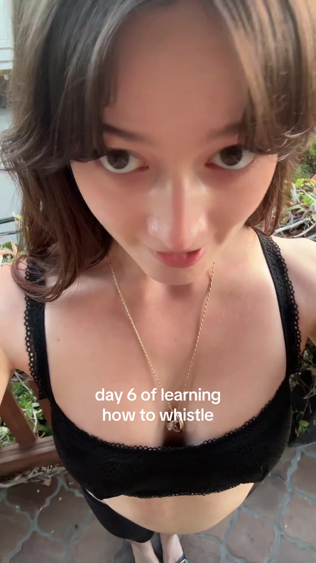 @ceo