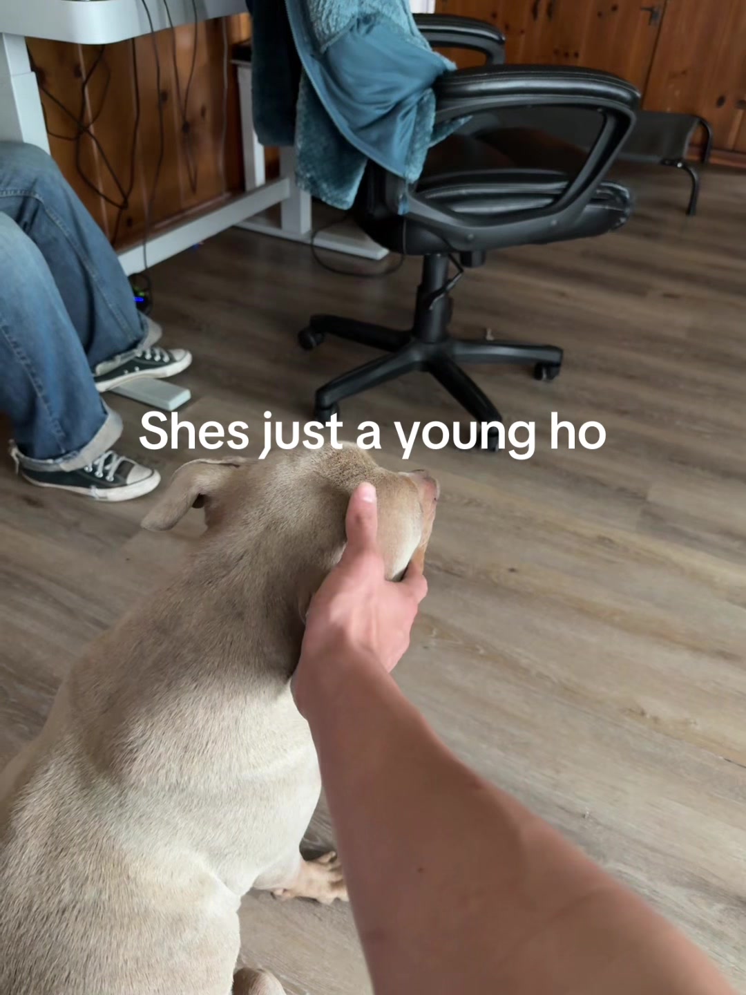 @OZXR