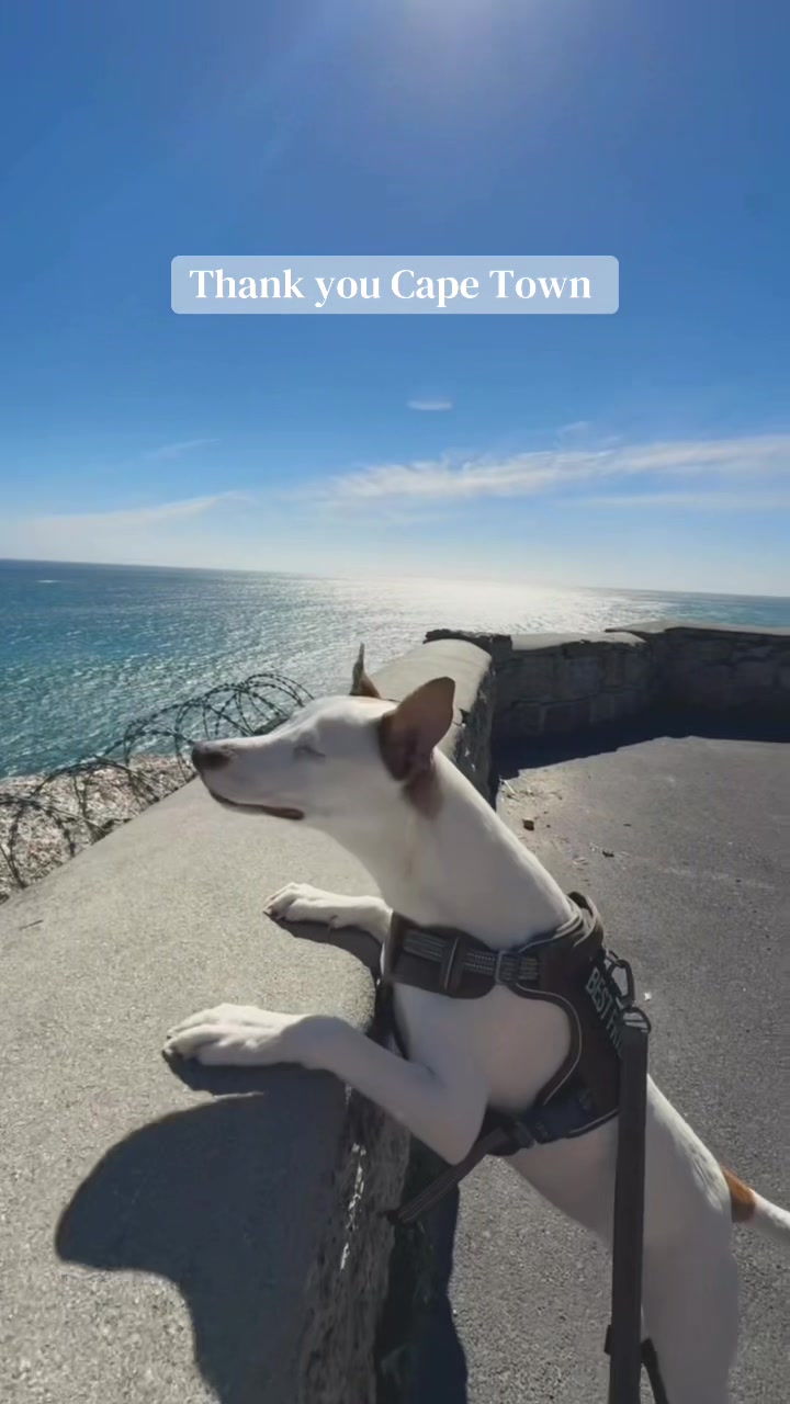 @HappyisAshley 🌞🦋🐶