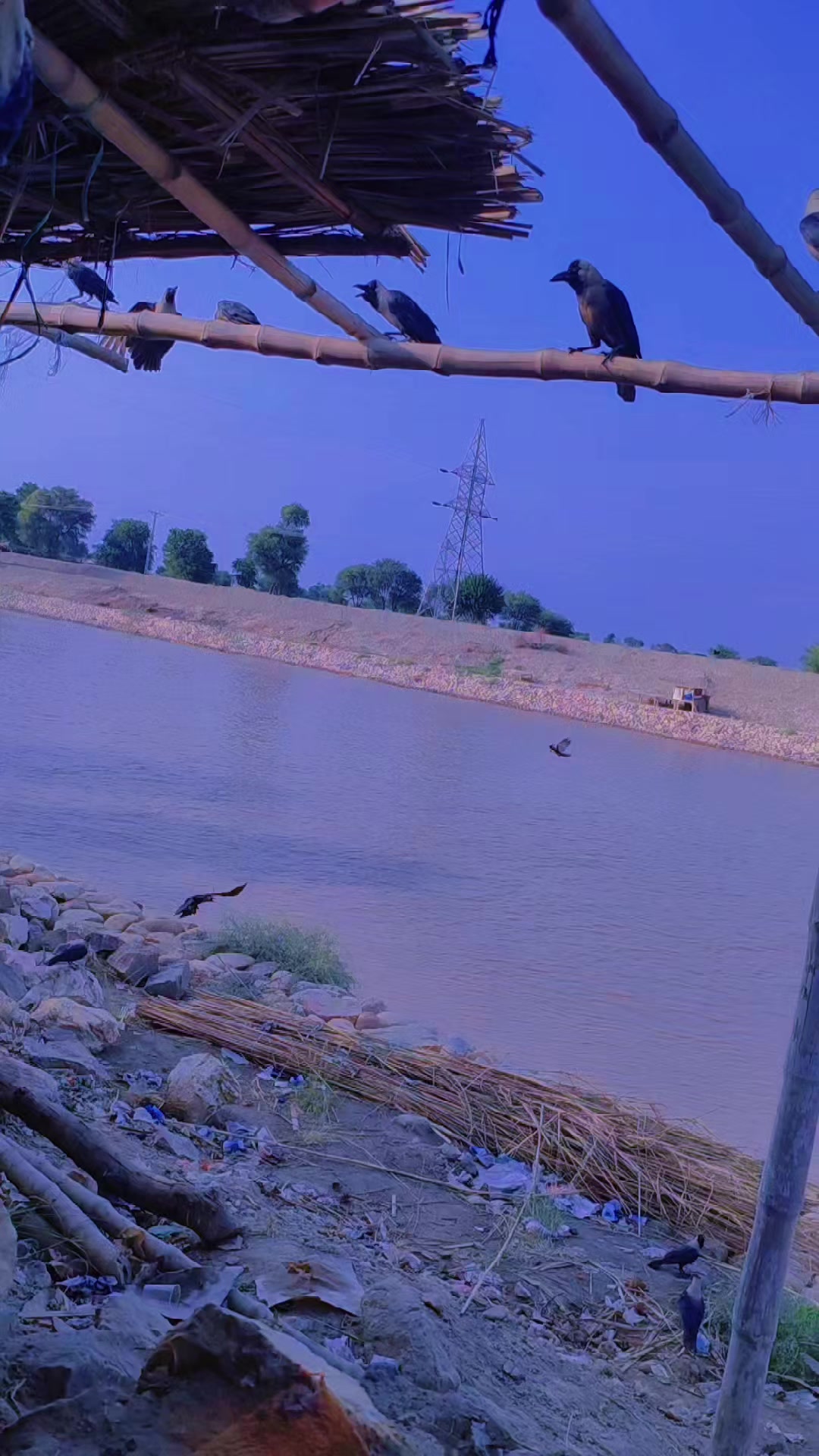 @Sk. siyal