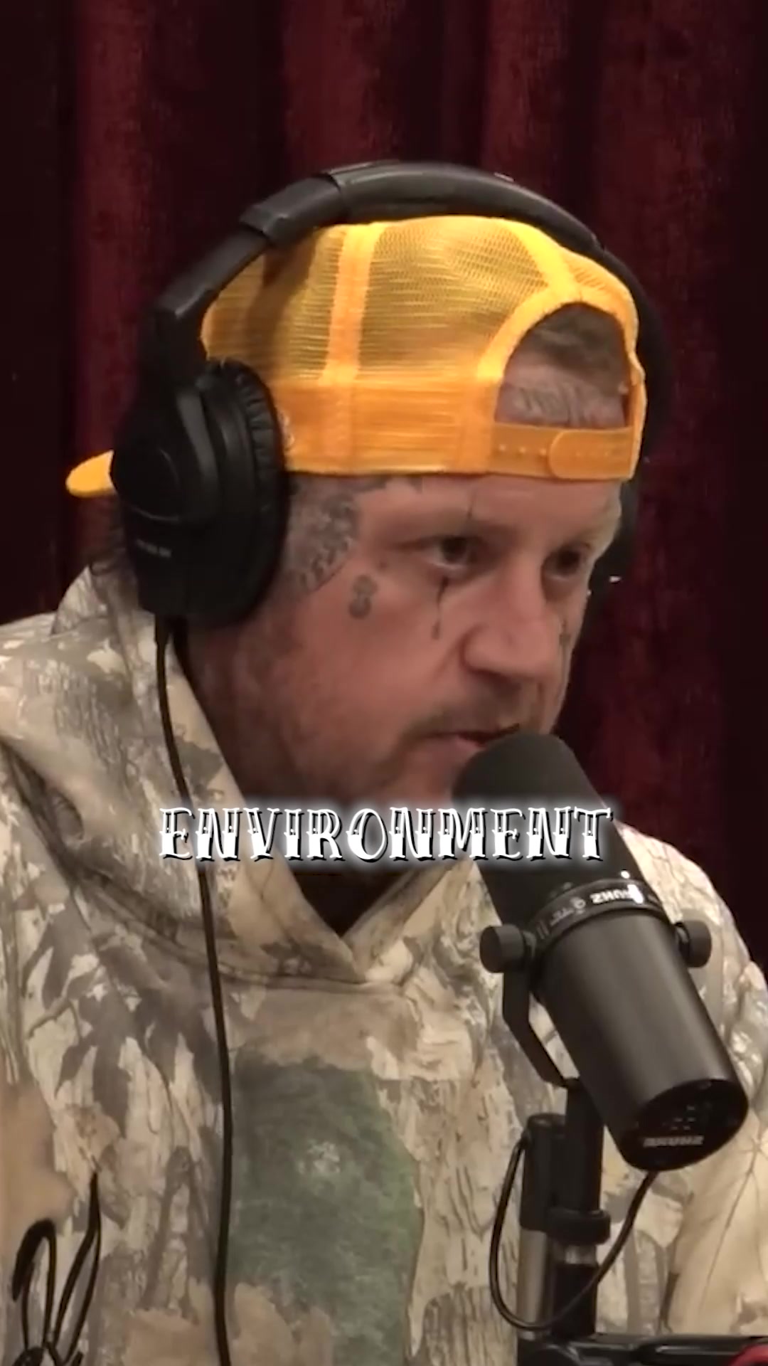 @Jelly Roll Fan