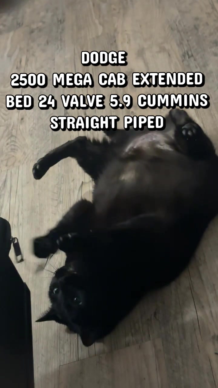 @Ricky D
