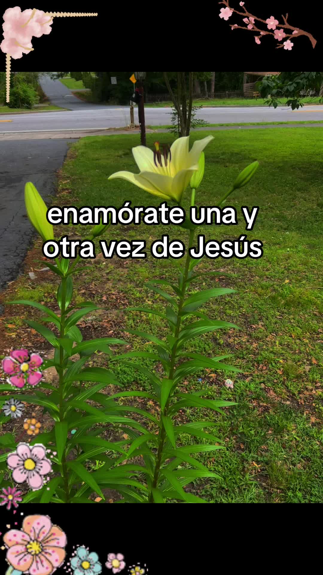 @❤️Marisol Coronado ❤️