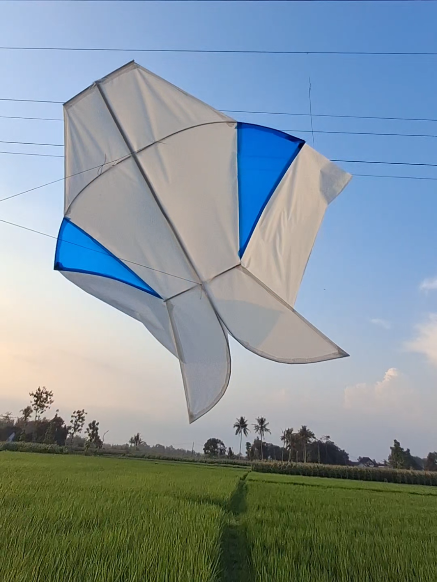 @daffin kite store