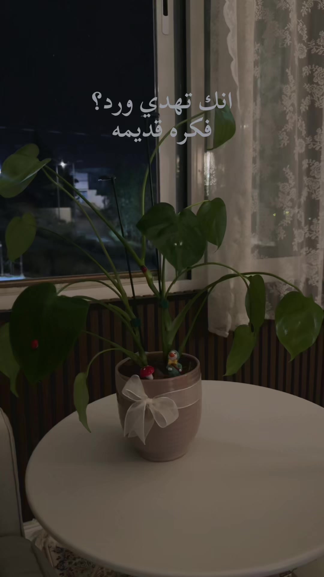 @لوسيـدا-الباحة🪴