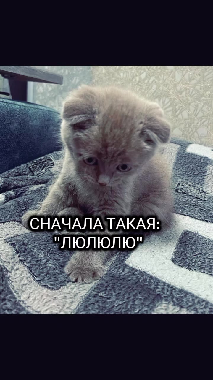 @🩷Ekaterina🩷