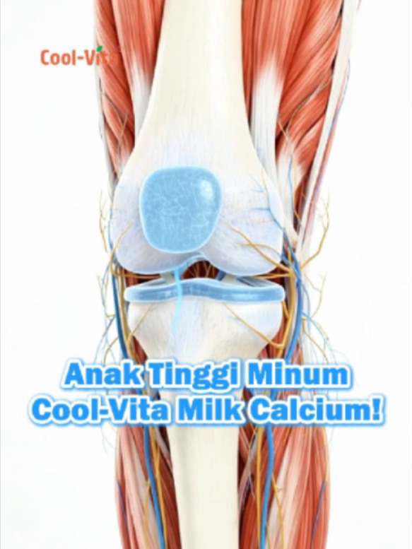 @coolvita.id
