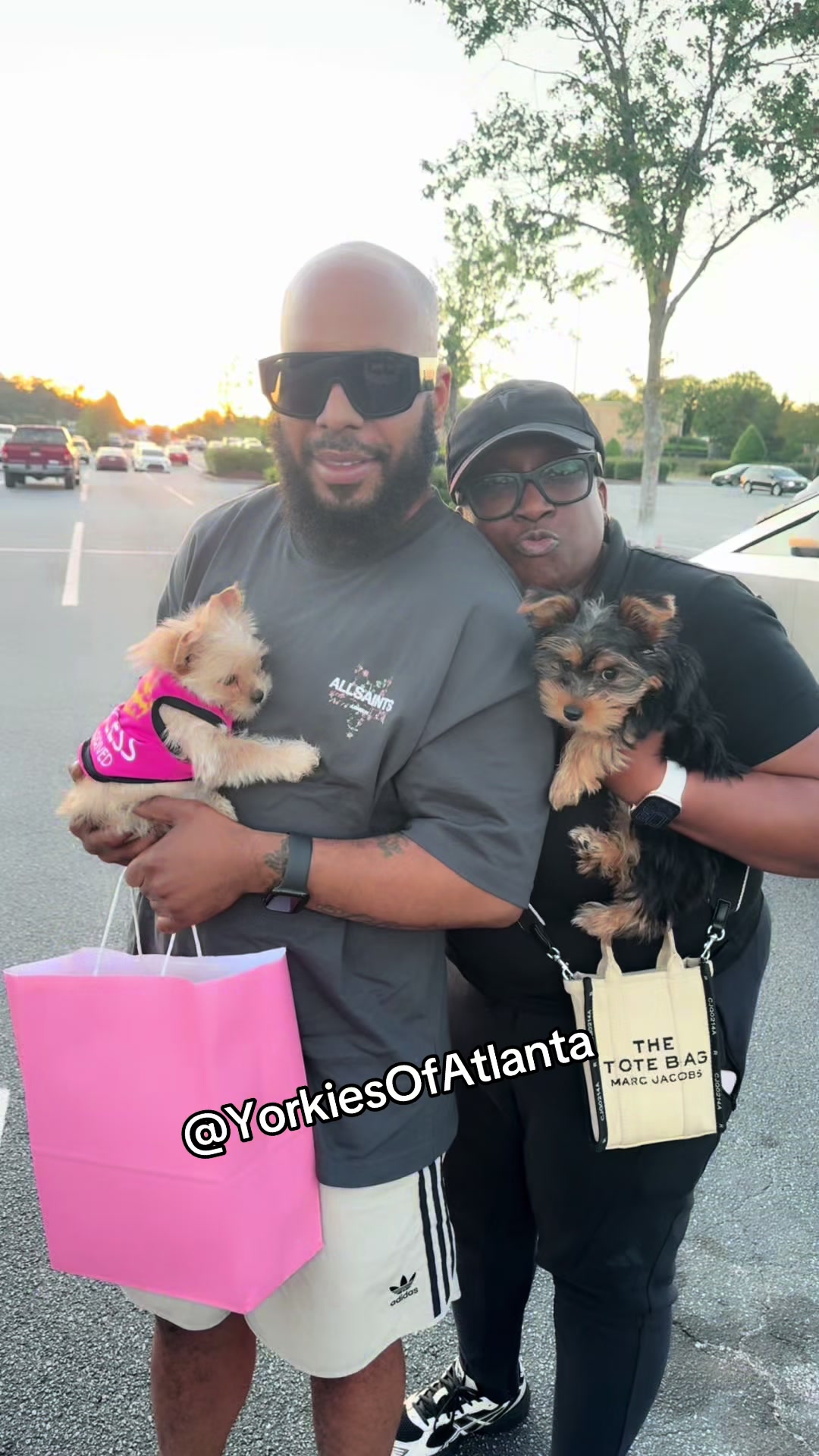 @Yorkies Of Atlanta