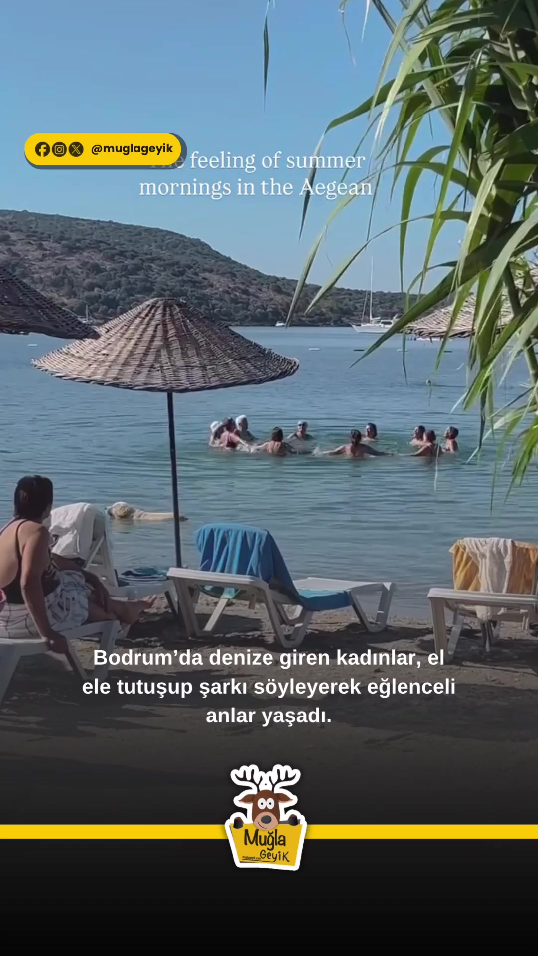 @Muğla Geyik