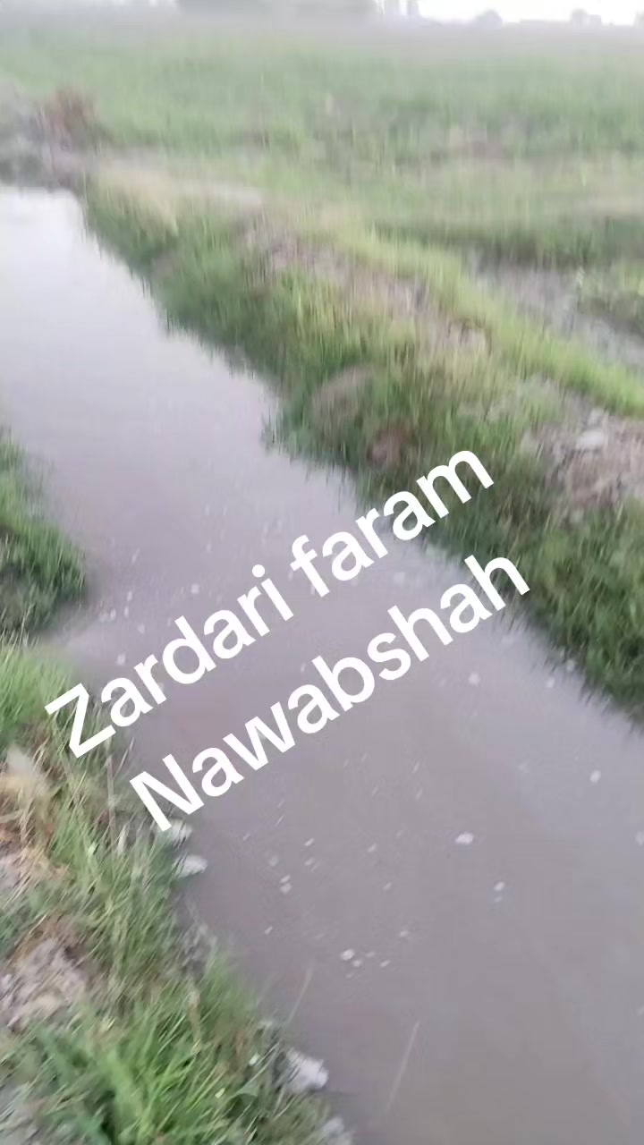 @sabir Hussain Zardari 110