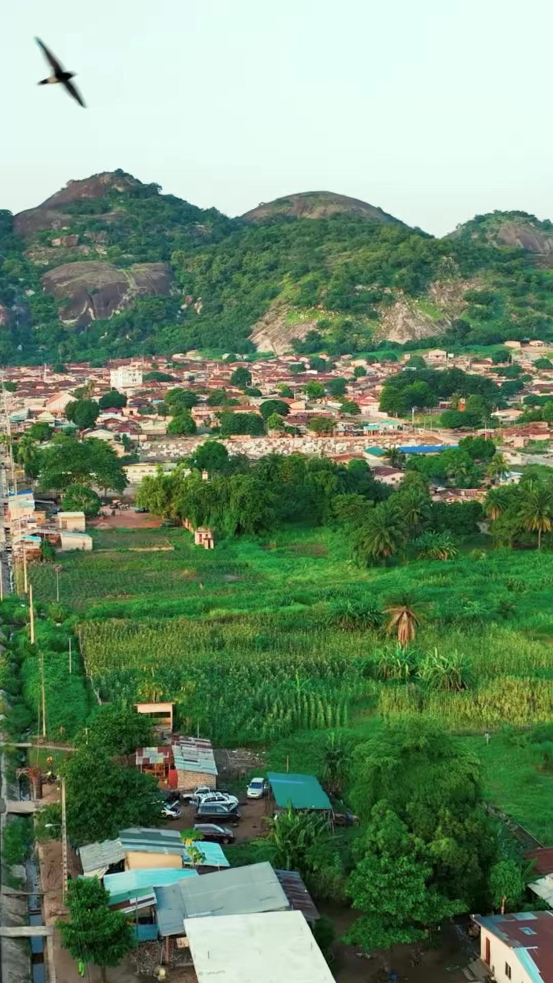 @Bénin Bouge 🇧🇯