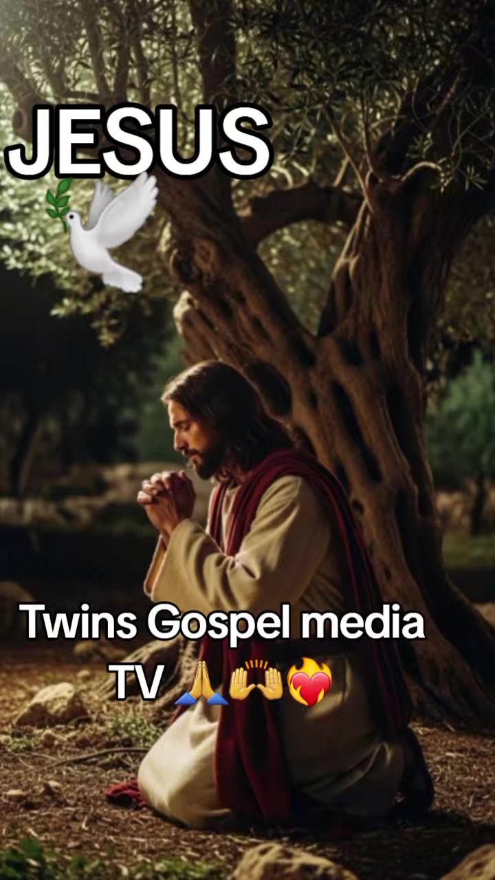 @TWINS-Gospel media TV ๐๐โค๏ธ