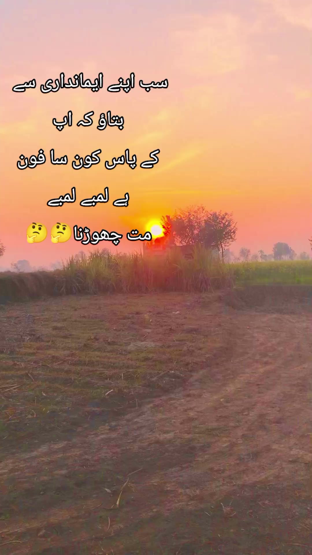 @Ray 🐅. amran 222🇵🇰🥷🐅❤️💯