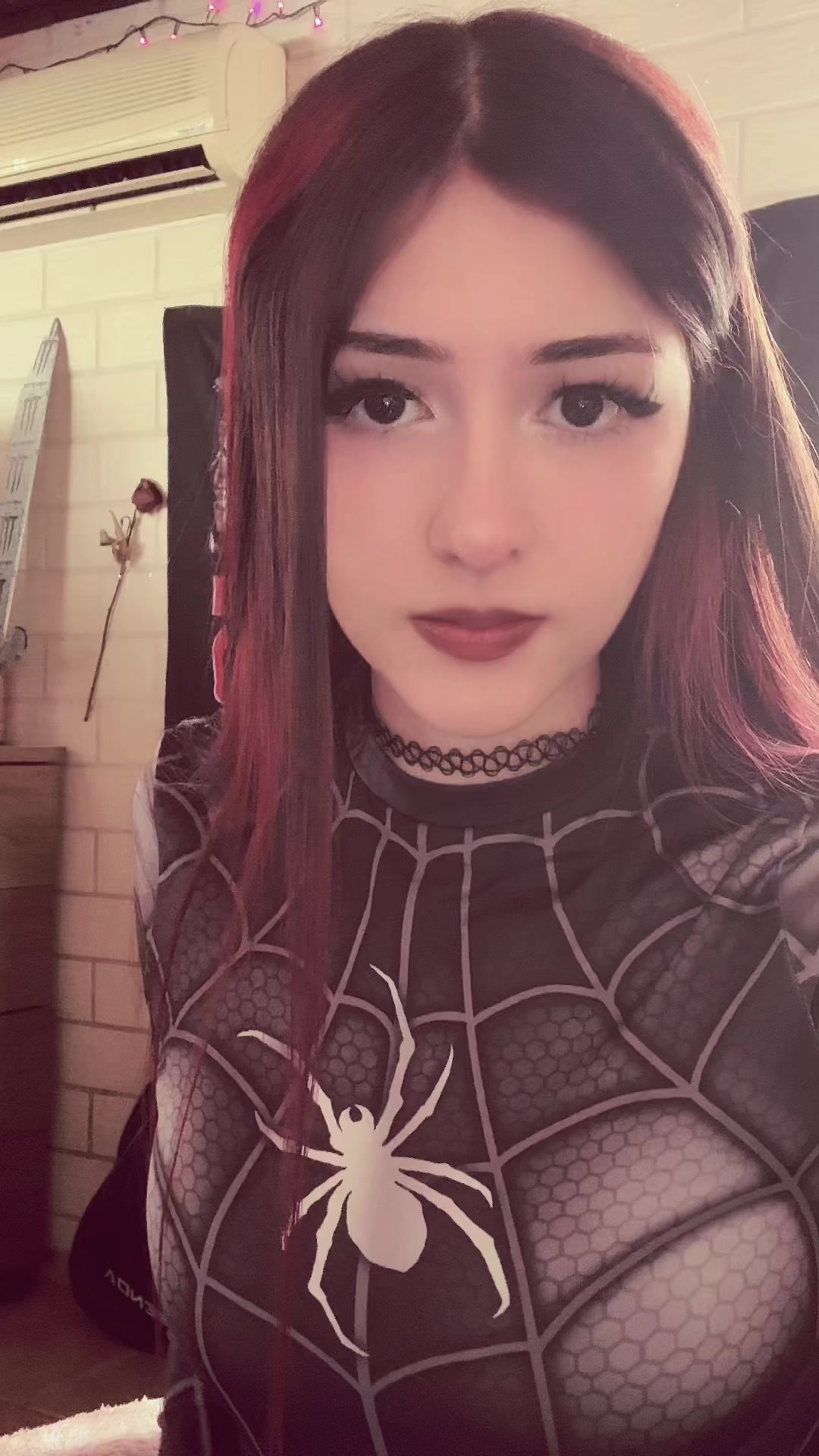 @sushi 🦇