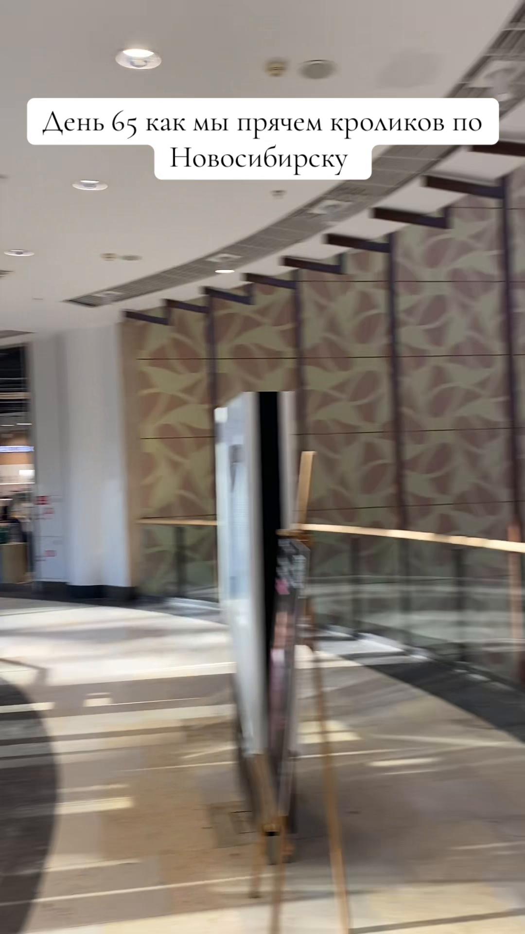 @Кролики