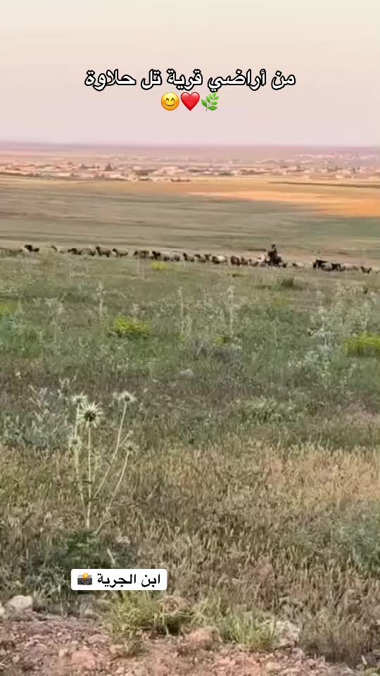 @أبن الجرية 📸