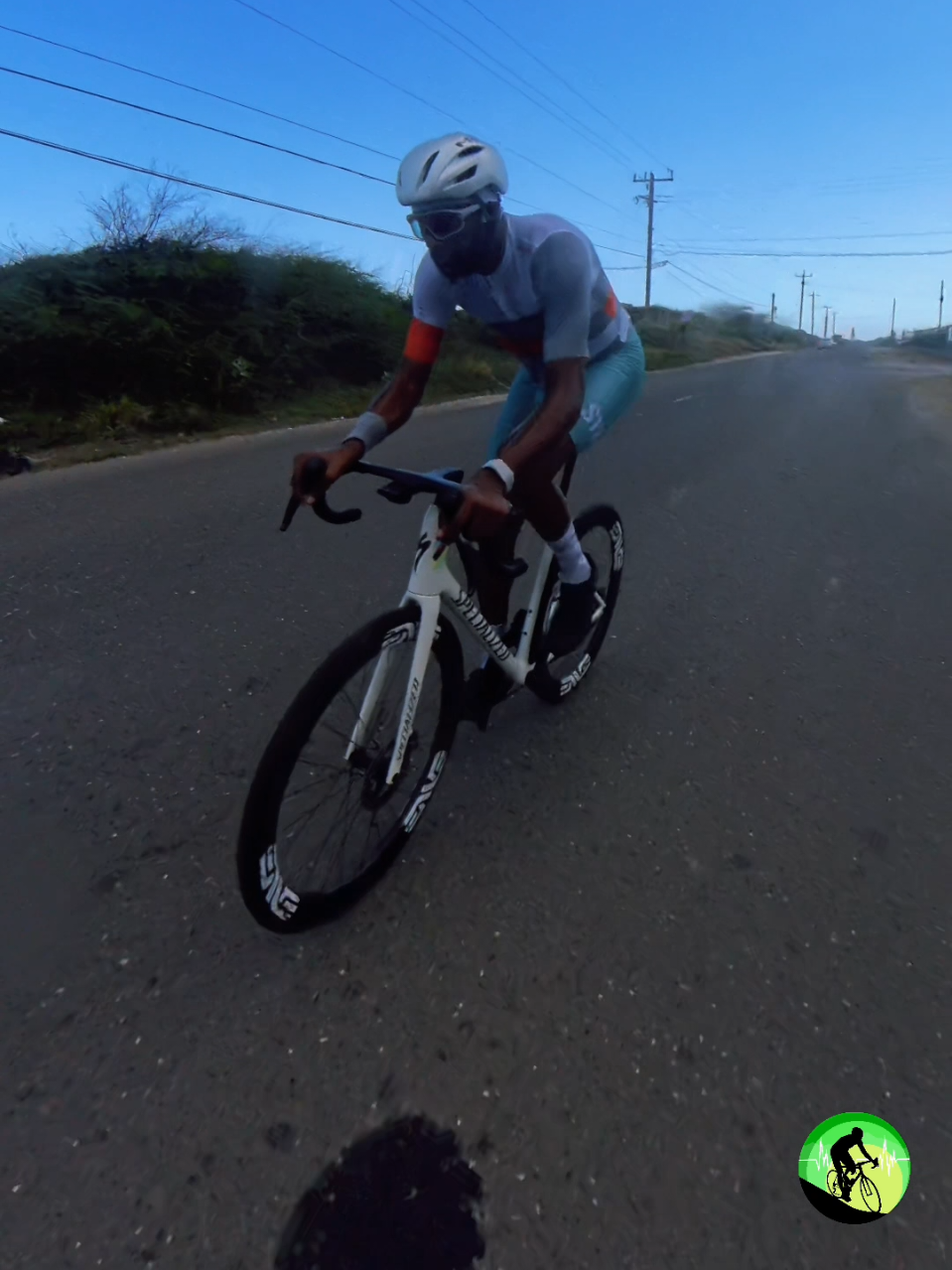 @pedalpulse