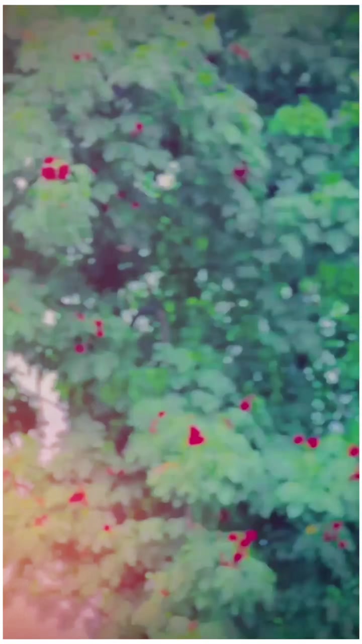 @(💊🦁🤍𝘾𝙝𝙞𝙩𝙖 𝙂🤍🦁💊)