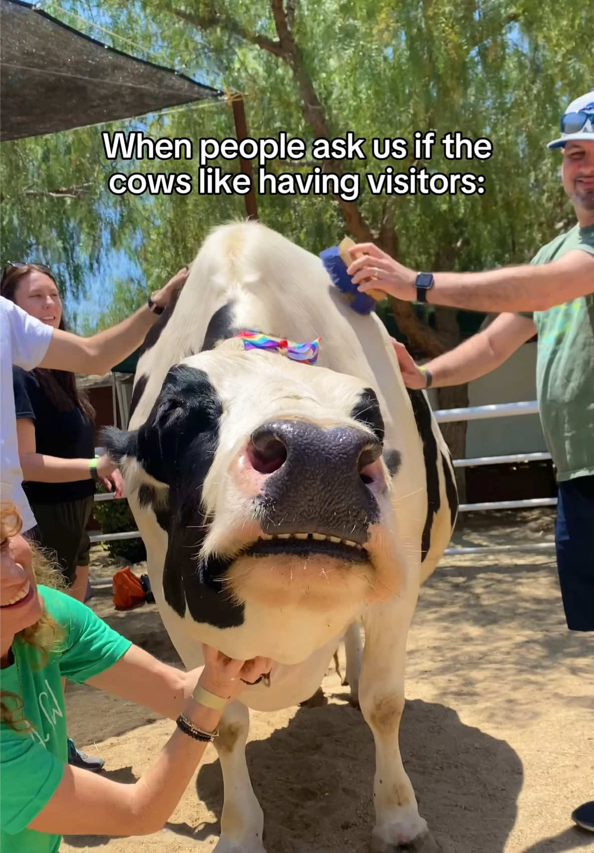 @The Gentle Barn | Sanctuary