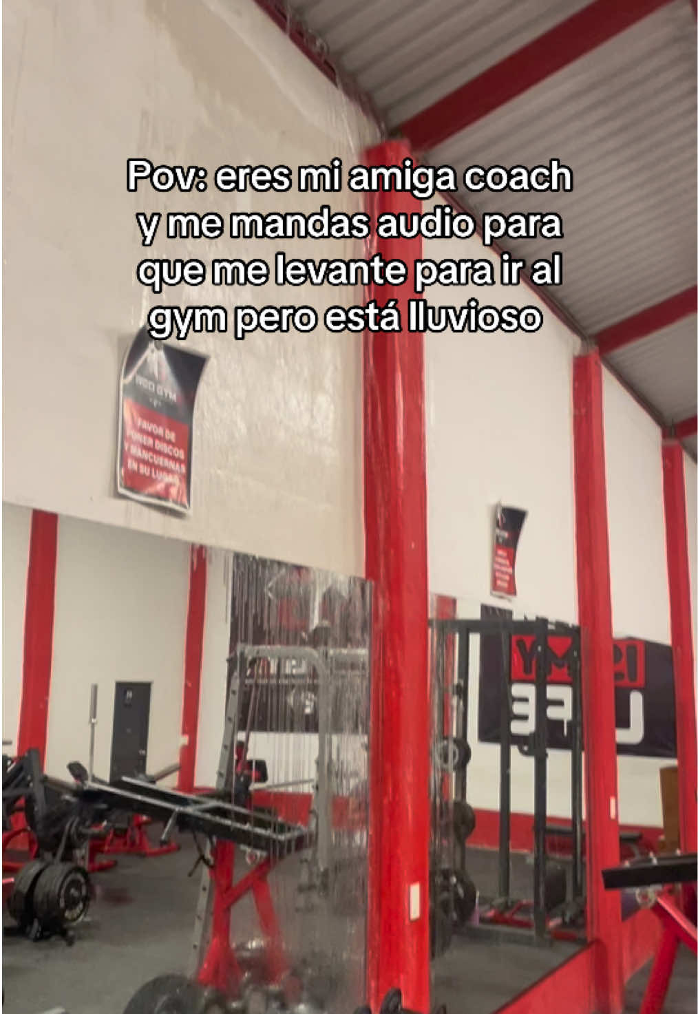 @🅰️lex M&eacute;ndez