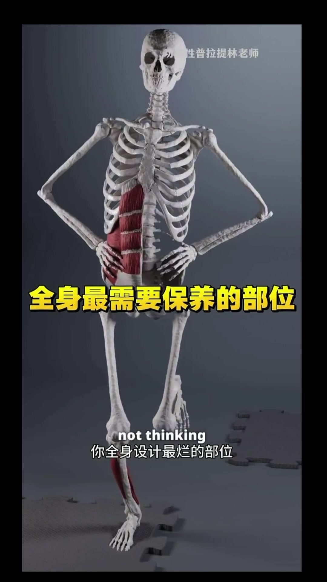 @沧海一粟3